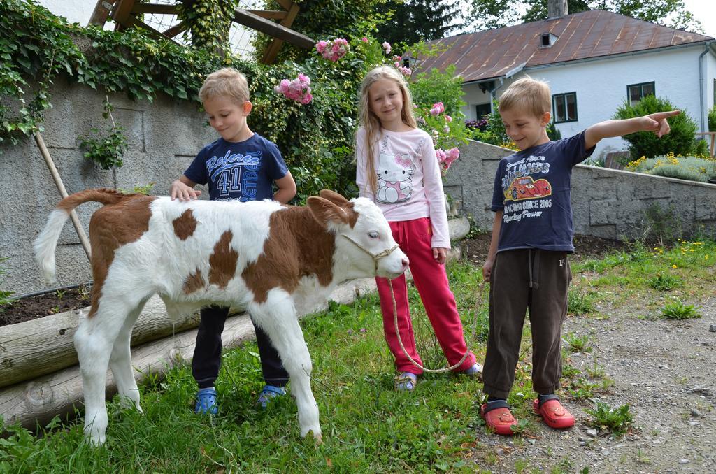 Ferienwohnung Vonwald Michelbach ภายนอก รูปภาพ