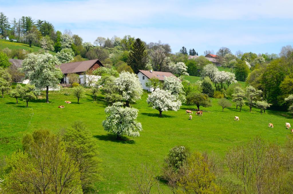 Ferienwohnung Vonwald Michelbach ภายนอก รูปภาพ