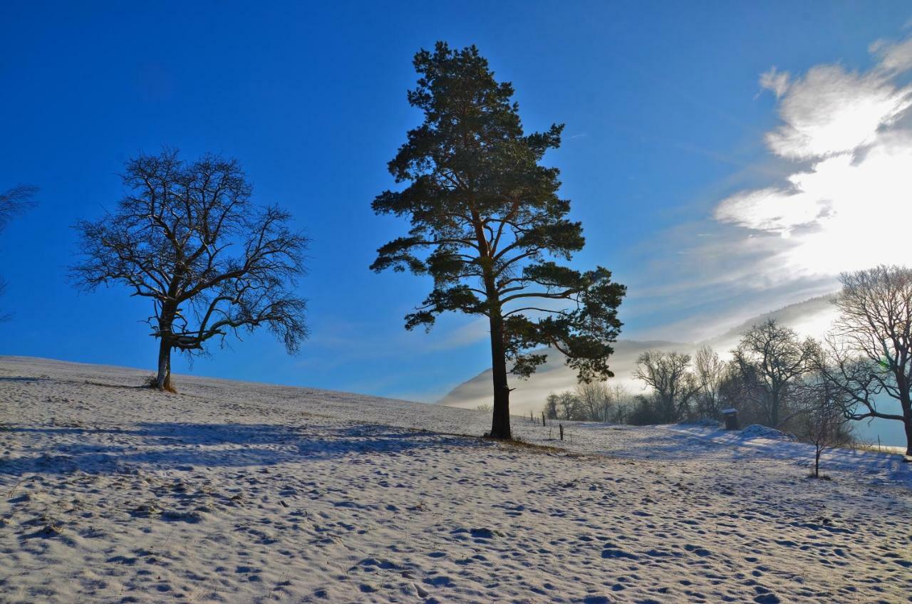 Ferienwohnung Vonwald Michelbach ภายนอก รูปภาพ