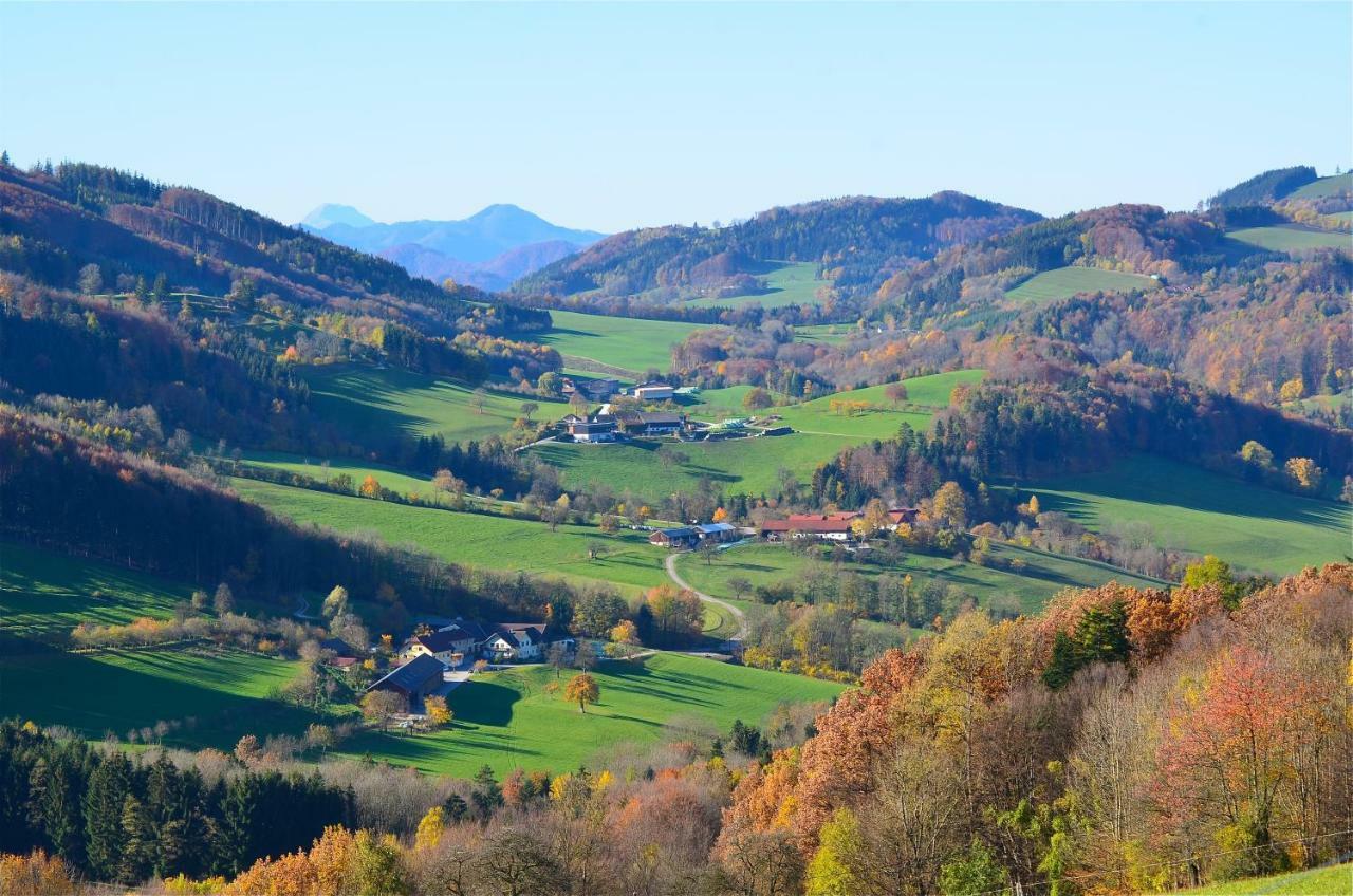 Ferienwohnung Vonwald Michelbach ภายนอก รูปภาพ