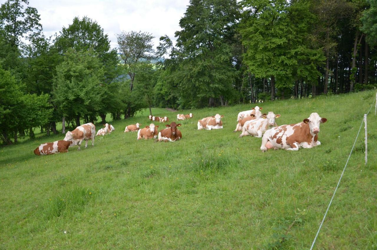 Ferienwohnung Vonwald Michelbach ภายนอก รูปภาพ